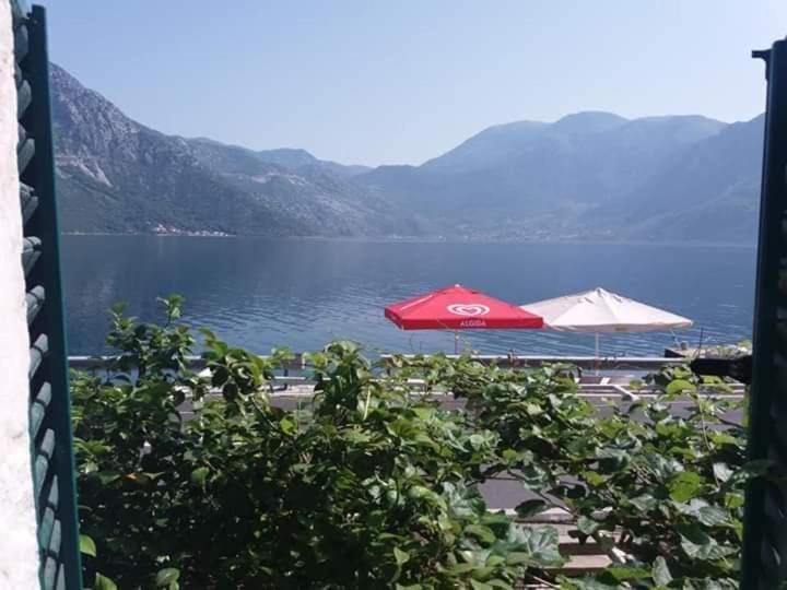 Apartments Dabovic Kotor Exterior foto